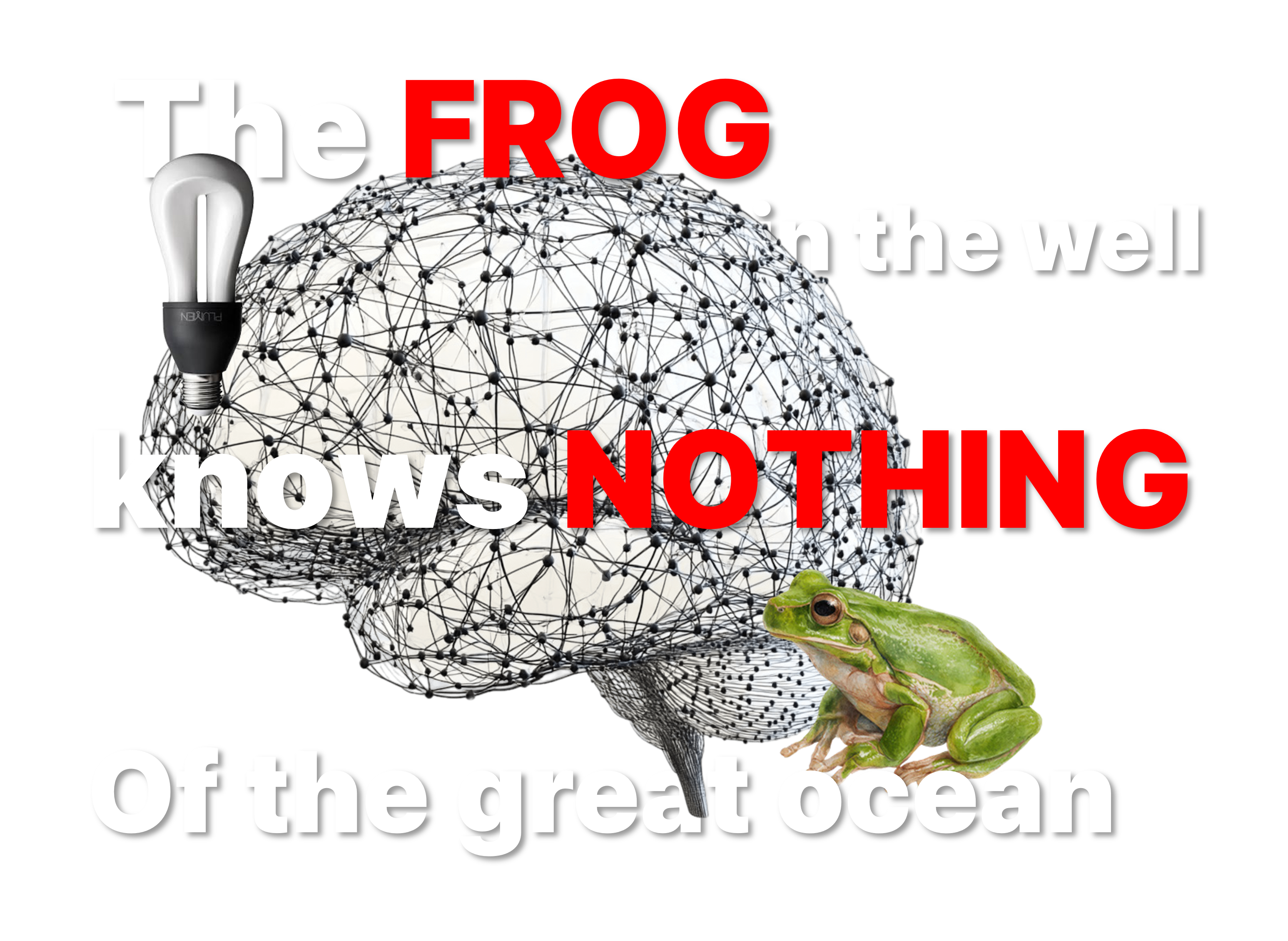 논문 정리 웹사이트 — The FROG in the well knows NOTHING of the great ocean